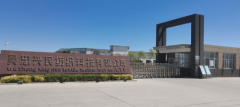 吴忠兴平易近纺织：塞上沙枣花绽放兴平易近情